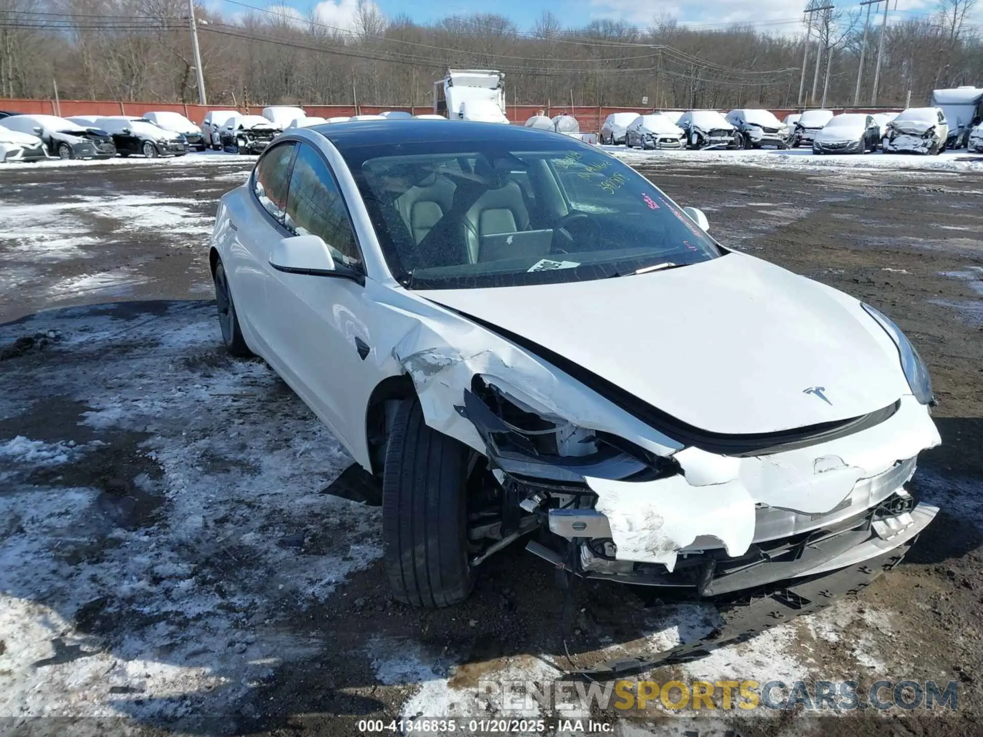 6 fotografías del automóvil dañado 5YJ3E1EBXPF392818 TESLA MODEL 3 2023