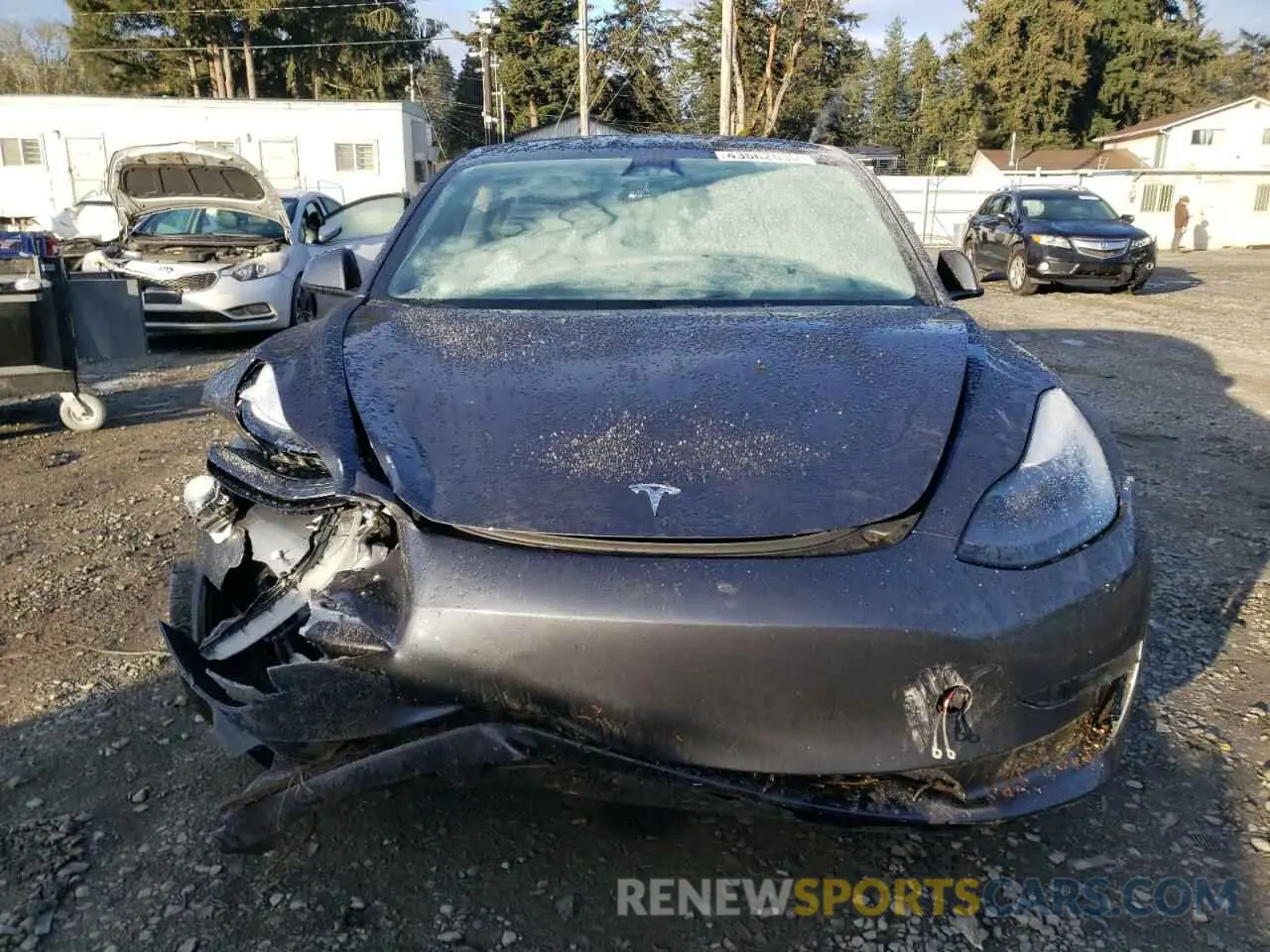5 fotografías del automóvil dañado 5YJ3E1EC0PF708624 TESLA MODEL 3 2023