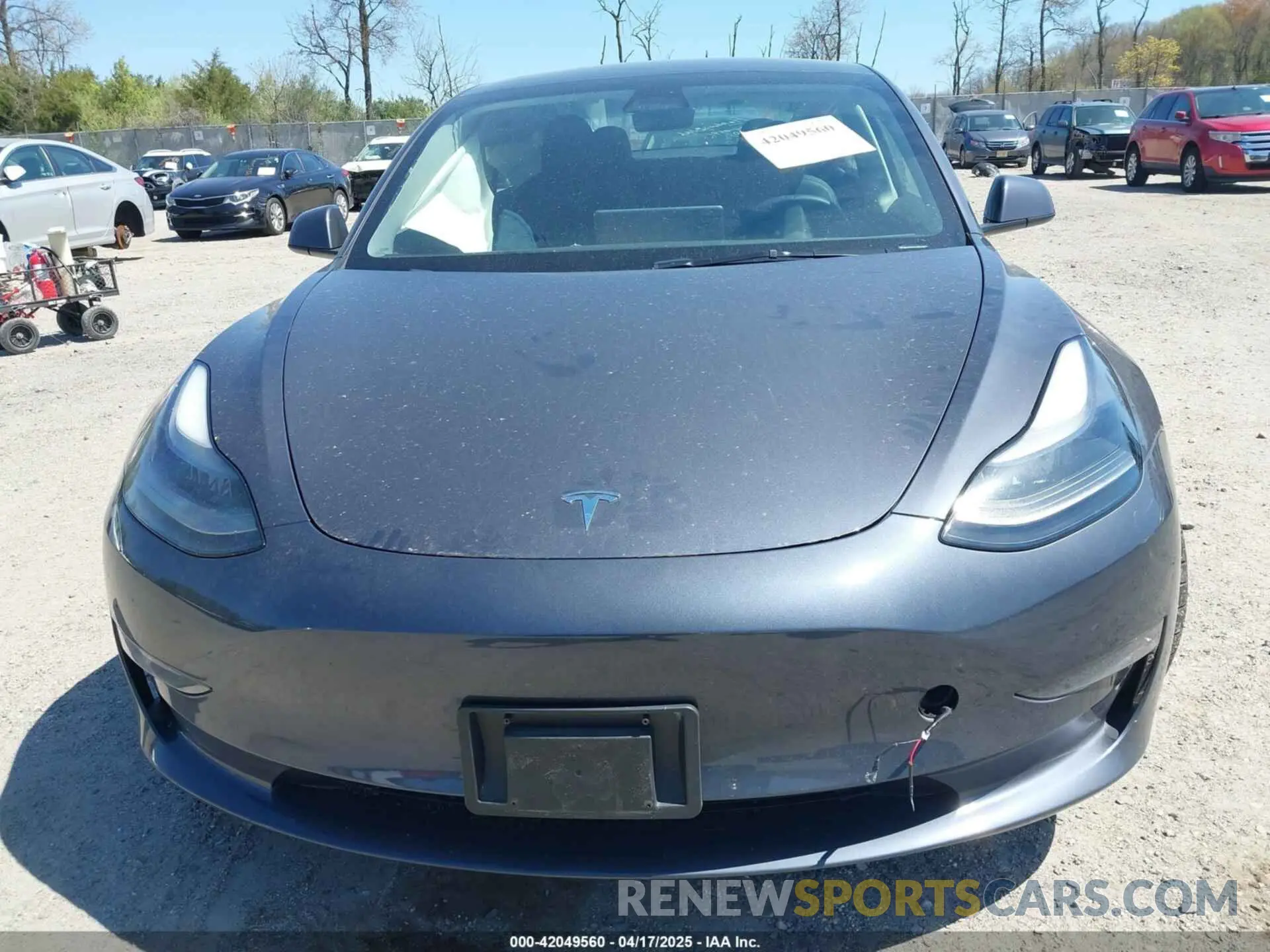 11 fotografías del automóvil dañado 5YJ3E1EC1PF516306 TESLA MODEL 3 2023