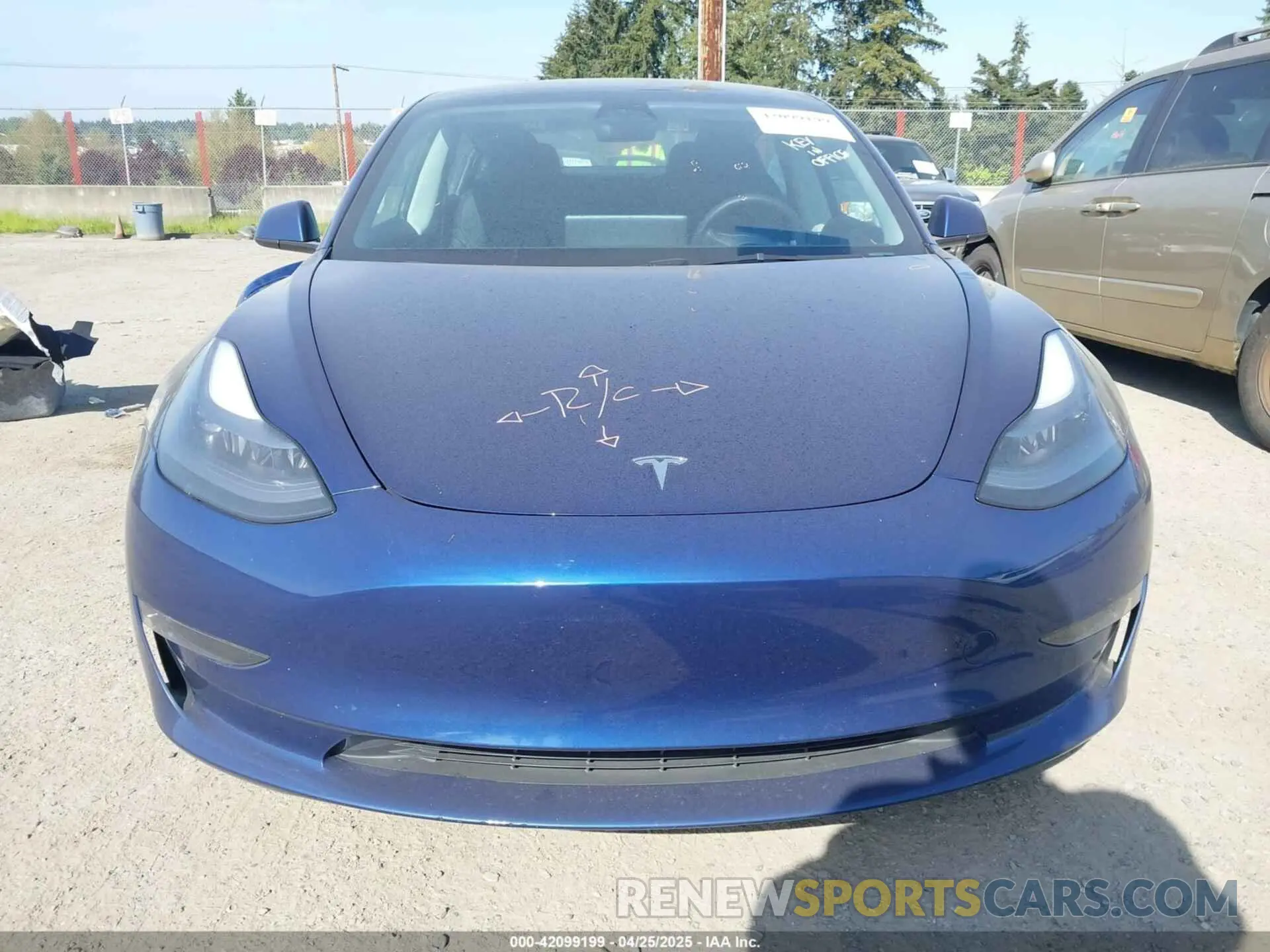 13 fotografías del automóvil dañado 5YJ3E1EC2PF679613 TESLA MODEL 3 2023