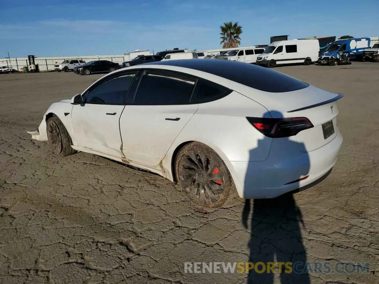 2 fotografías del automóvil dañado 5YJ3E1EC3PF556807 TESLA MODEL 3 2023