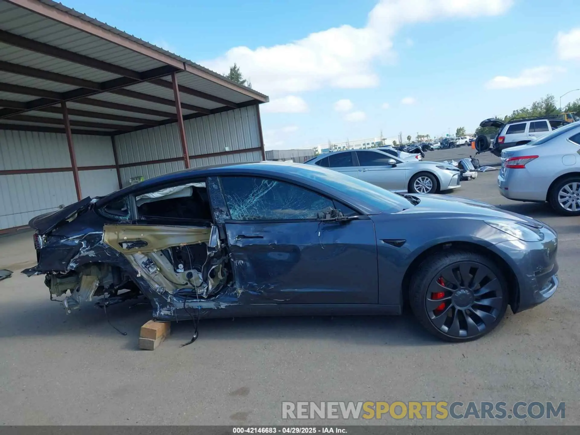 13 fotografías del automóvil dañado 5YJ3E1ECXPF410212 TESLA MODEL 3 2023