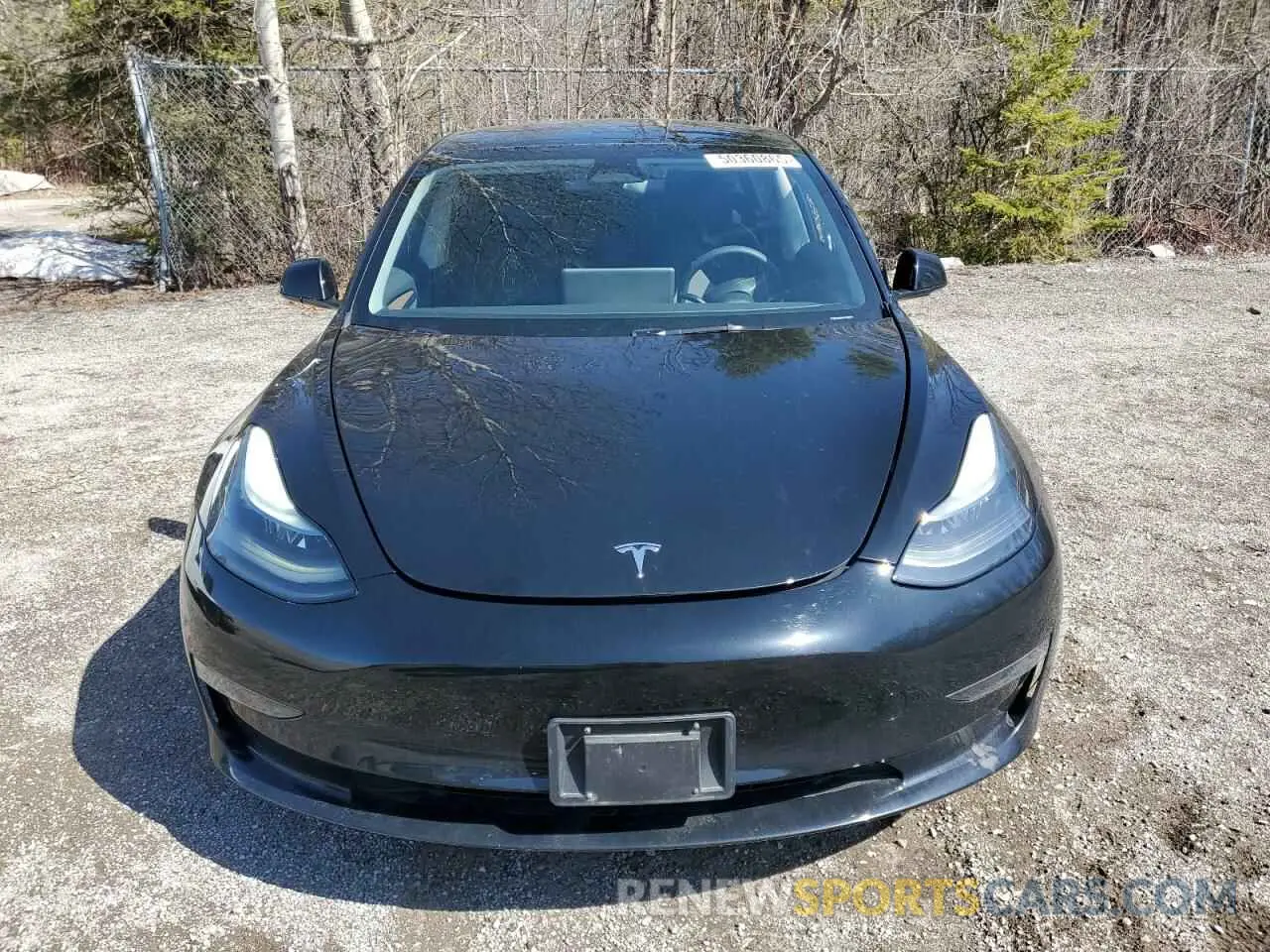 5 fotografías del automóvil dañado LRW3E1FA5PC920846 TESLA MODEL 3 2023