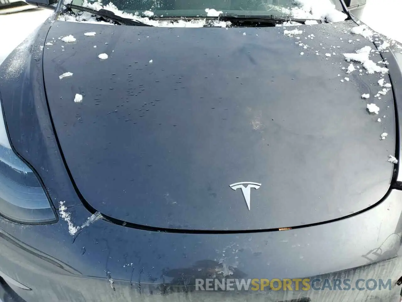 11 fotografías del automóvil dañado LRW3E1FA5PC945276 TESLA MODEL 3 2023