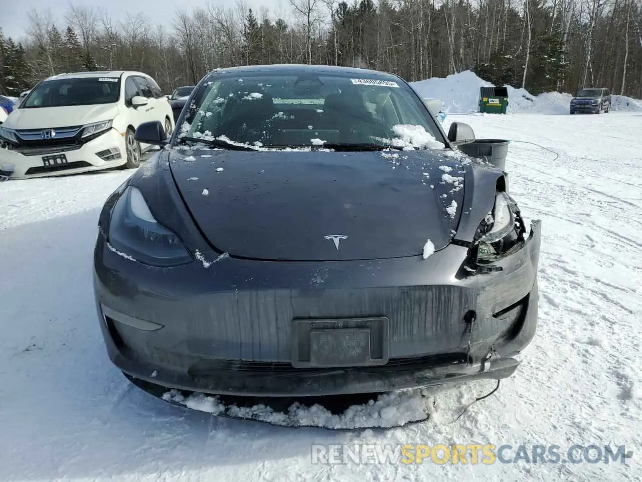 5 fotografías del automóvil dañado LRW3E1FA5PC945276 TESLA MODEL 3 2023