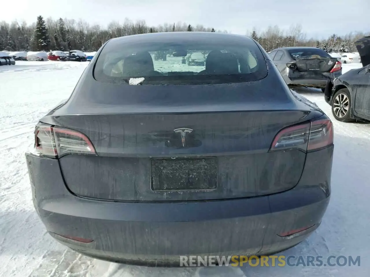 6 fotografías del automóvil dañado LRW3E1FA5PC945276 TESLA MODEL 3 2023