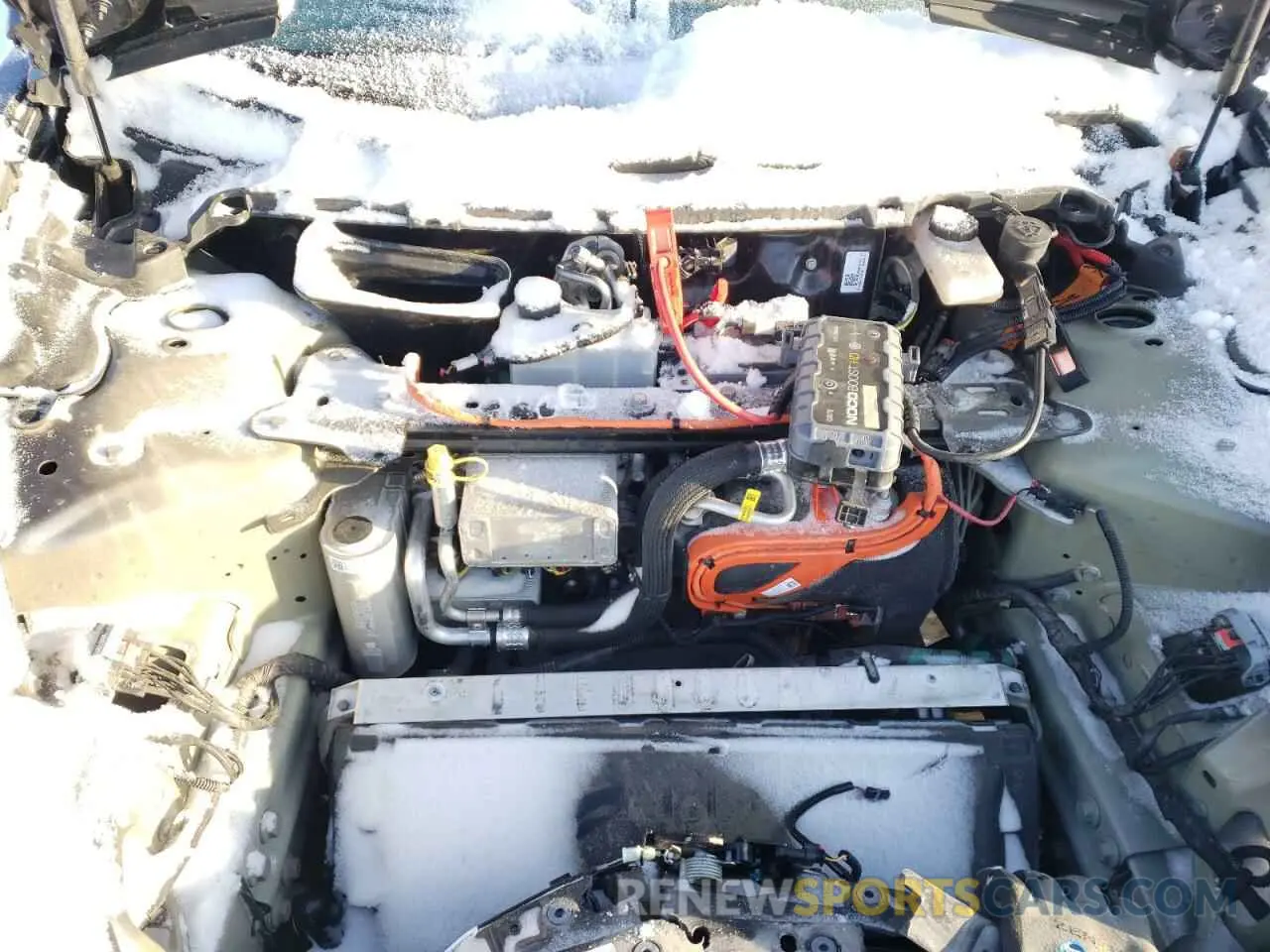 11 fotografías del automóvil dañado LRW3E1FA9PC899953 TESLA MODEL 3 2023