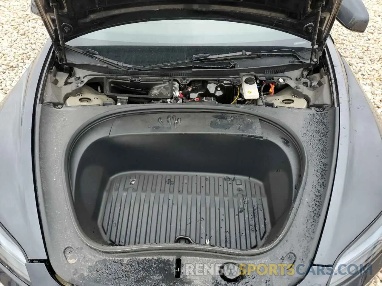 12 fotografías del automóvil dañado 5YJ3E1EA0RF739034 TESLA MODEL 3 2024