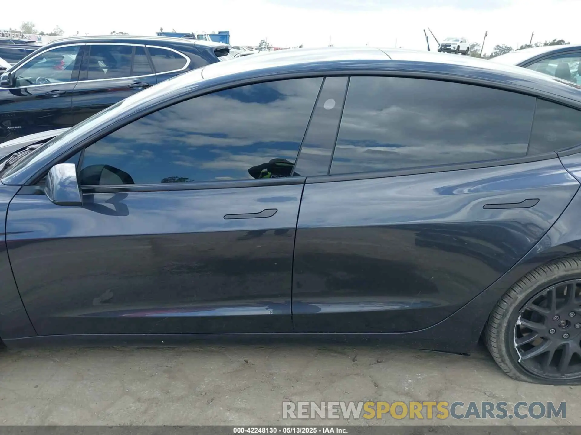 14 fotografías del automóvil dañado 5YJ3E1EA0RF782725 TESLA MODEL 3 2024