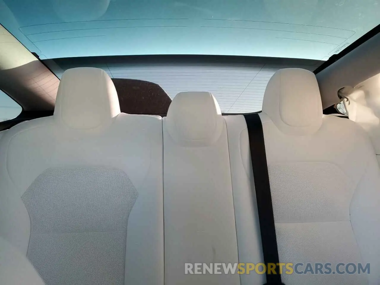 10 fotografías del automóvil dañado 5YJ3E1EA0RF801662 TESLA MODEL 3 2024