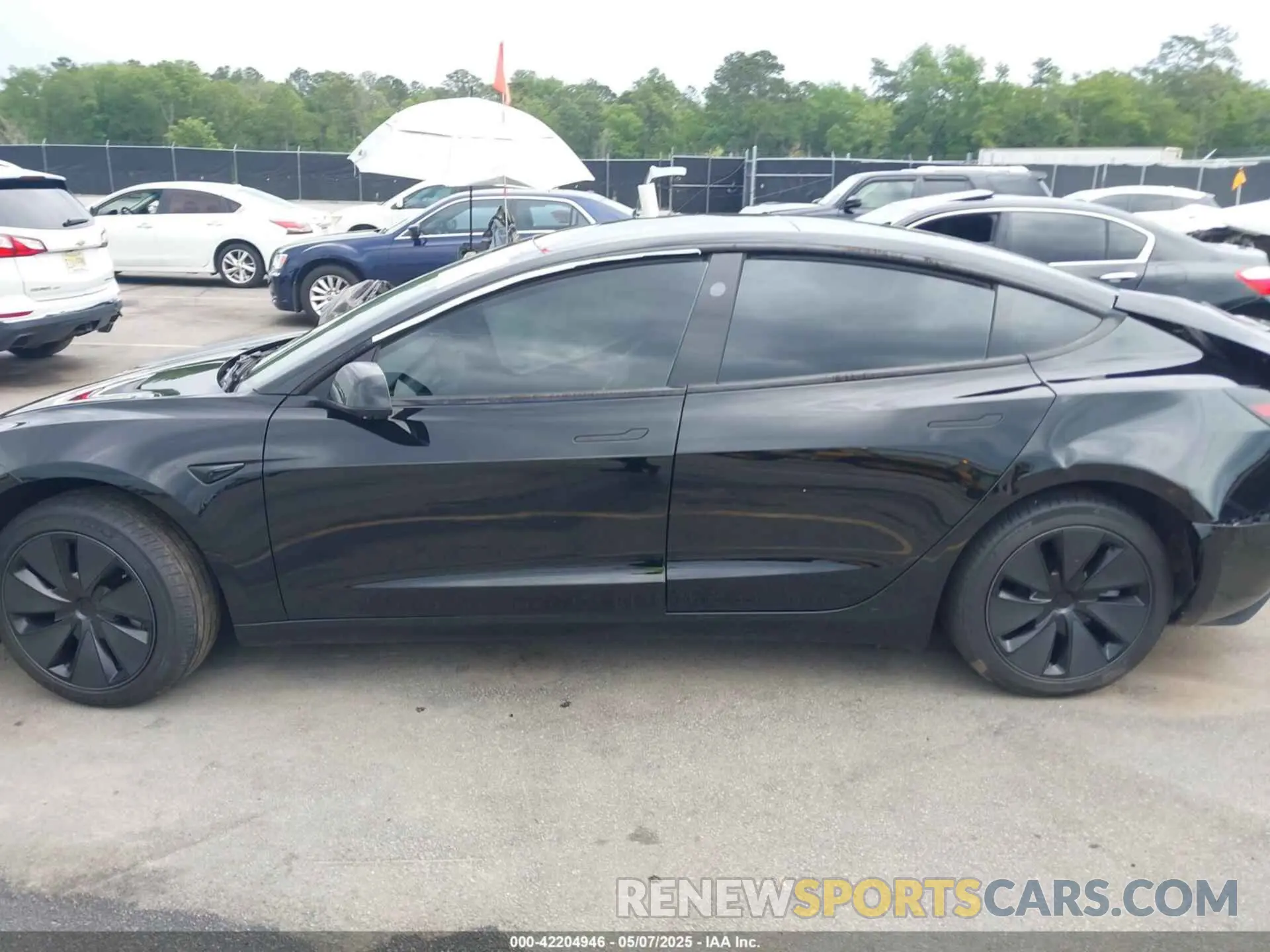 14 fotografías del automóvil dañado 5YJ3E1EA0RF856726 TESLA MODEL 3 2024