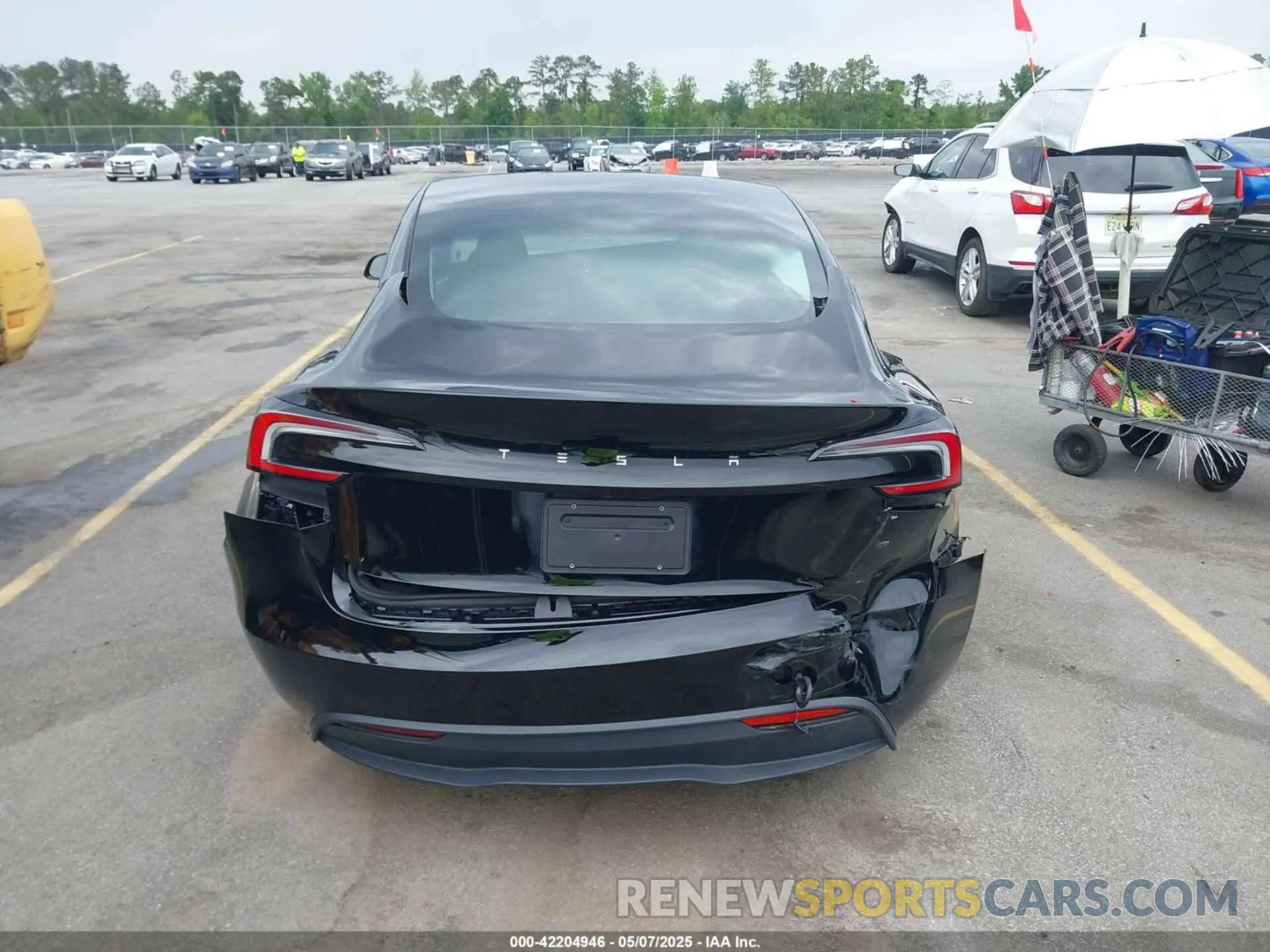 16 fotografías del automóvil dañado 5YJ3E1EA0RF856726 TESLA MODEL 3 2024