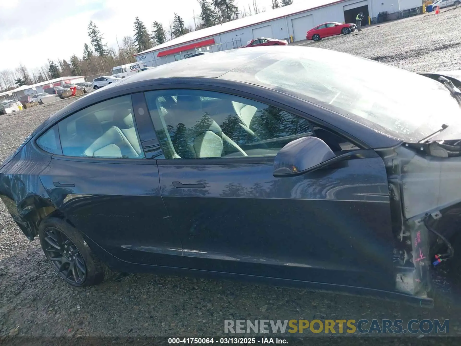 14 fotografías del automóvil dañado 5YJ3E1EA0RF871646 TESLA MODEL 3 2024
