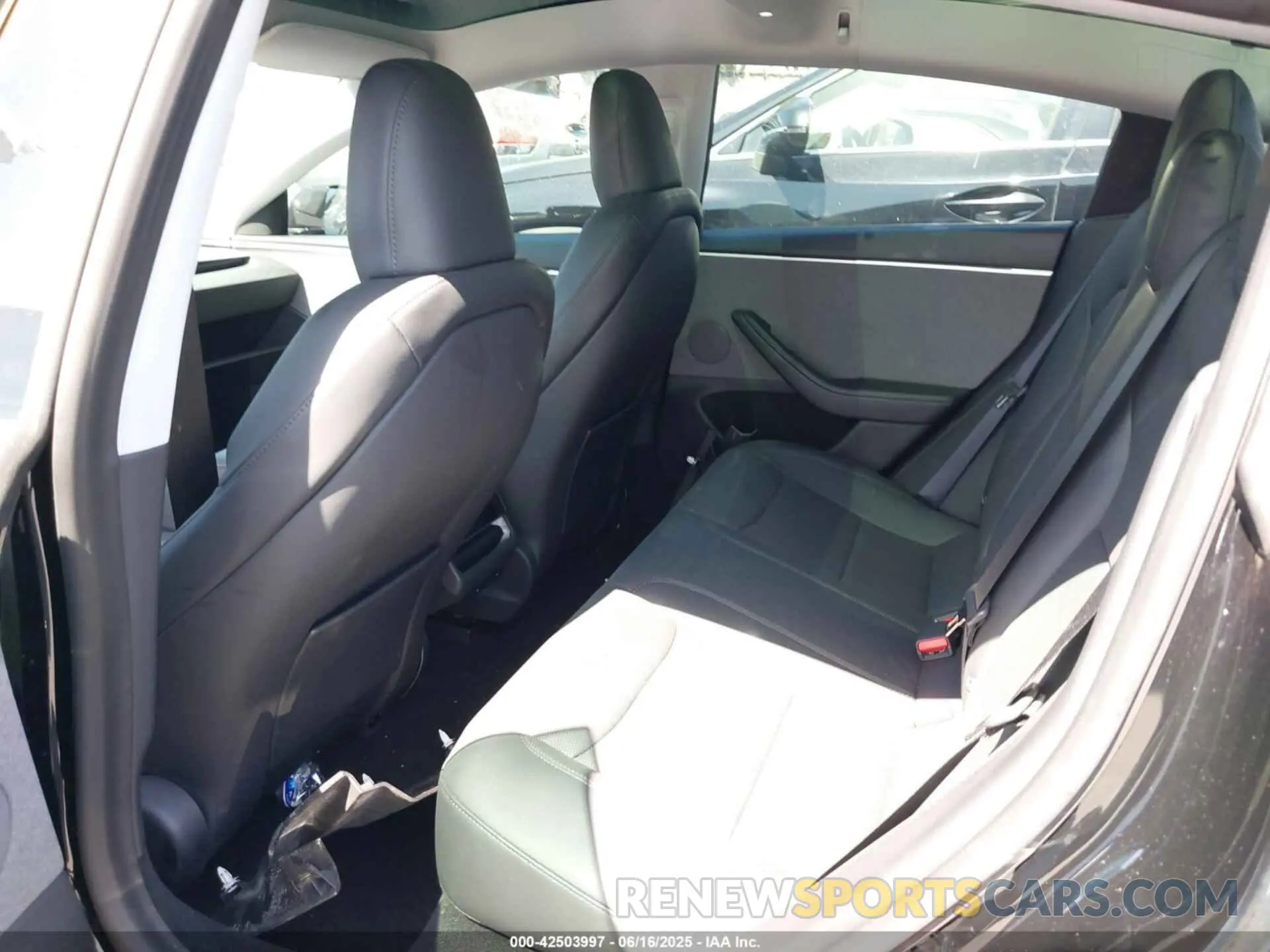 24 fotografías del automóvil dañado 5YJ3E1EA1RF821113 TESLA MODEL 3 2024