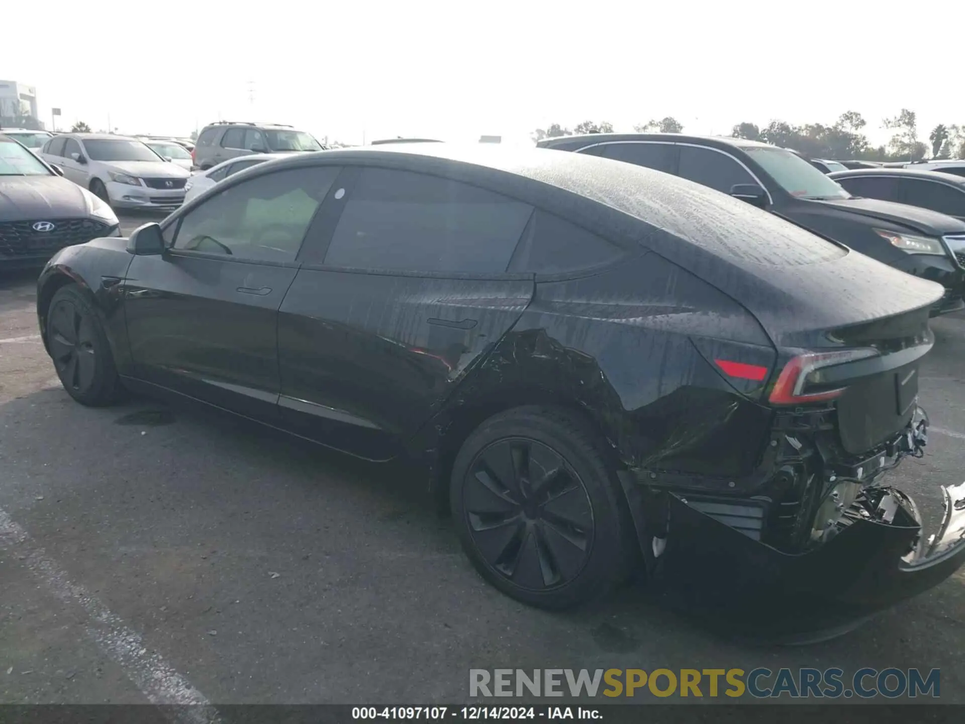 13 fotografías del automóvil dañado 5YJ3E1EA1RF846819 TESLA MODEL 3 2024