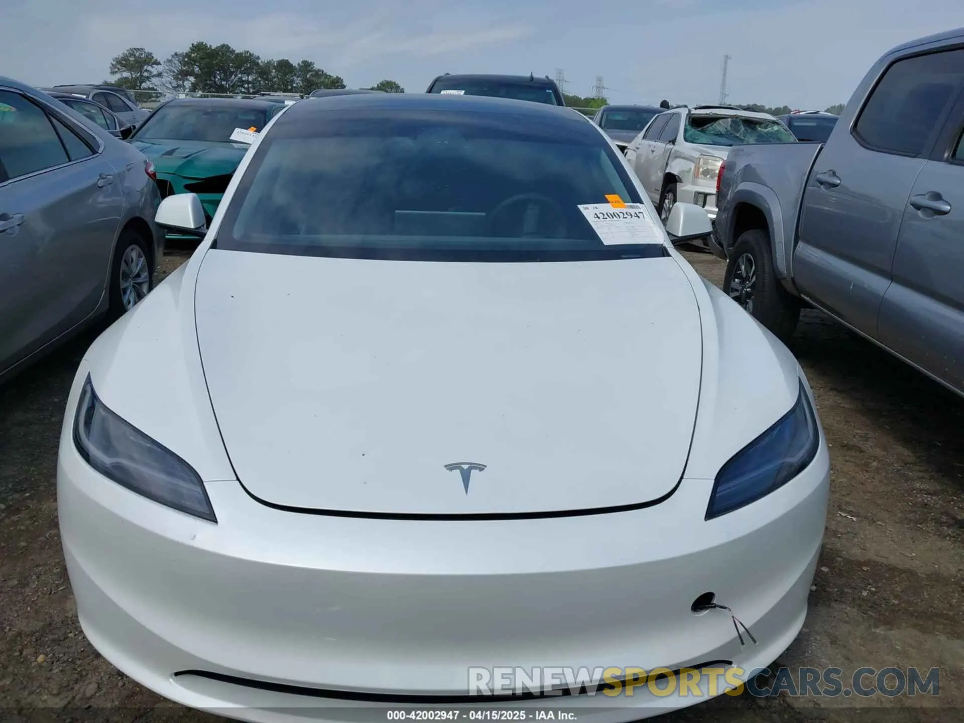 12 fotografías del automóvil dañado 5YJ3E1EA1RF853625 TESLA MODEL 3 2024