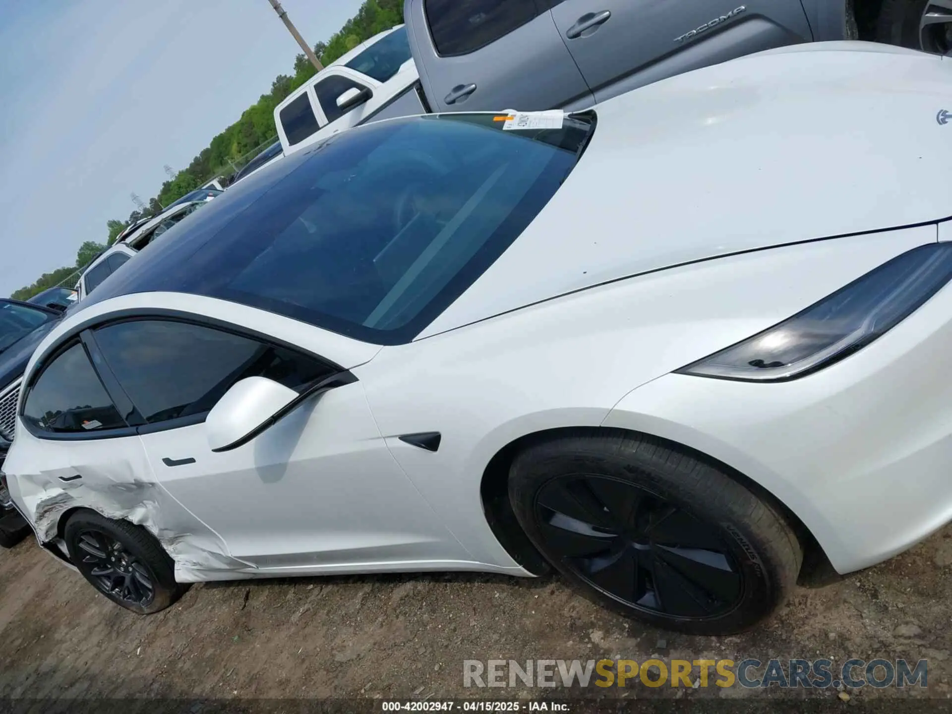 13 fotografías del automóvil dañado 5YJ3E1EA1RF853625 TESLA MODEL 3 2024
