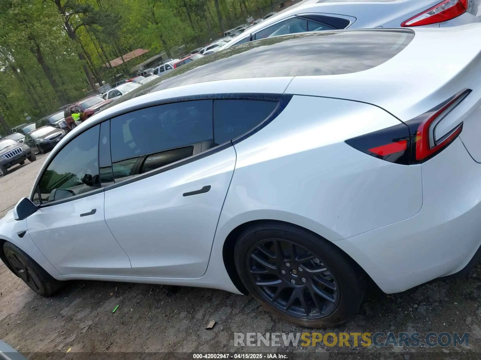 14 fotografías del automóvil dañado 5YJ3E1EA1RF853625 TESLA MODEL 3 2024