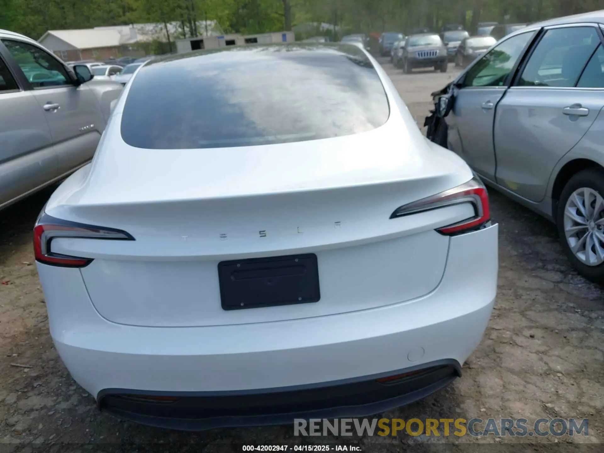 16 fotografías del automóvil dañado 5YJ3E1EA1RF853625 TESLA MODEL 3 2024