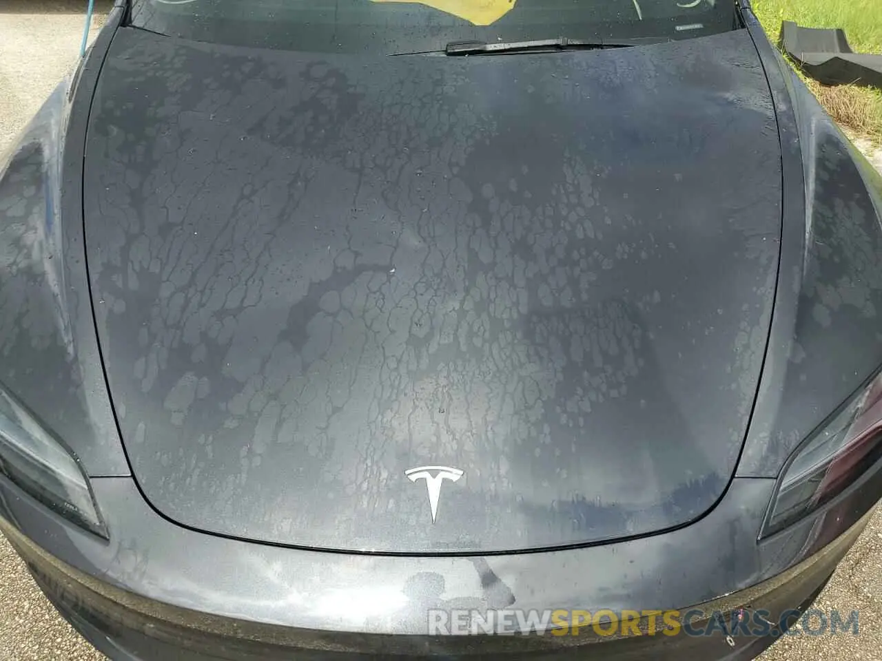 12 fotografías del automóvil dañado 5YJ3E1EA2RF756126 TESLA MODEL 3 2024