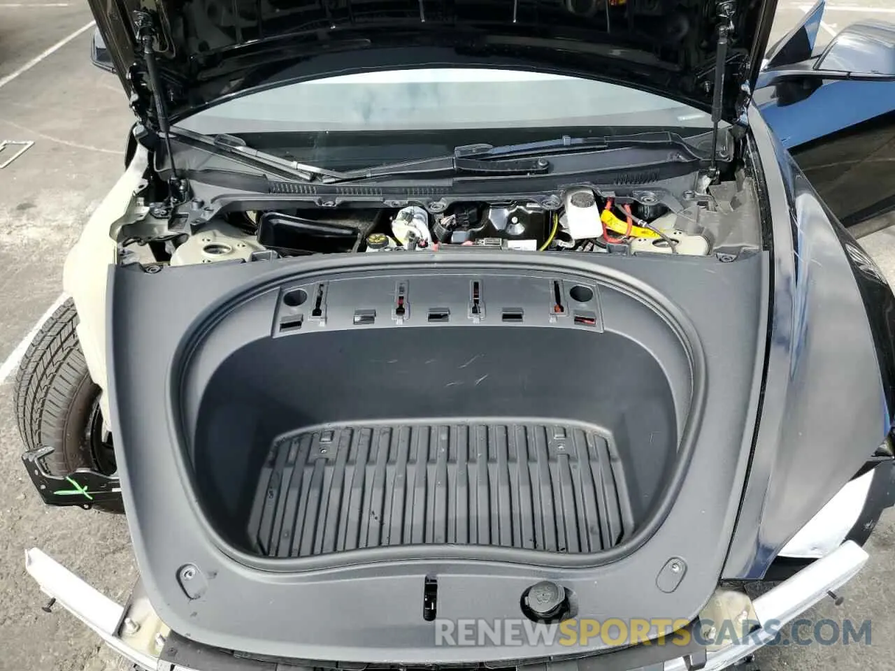 11 fotografías del automóvil dañado 5YJ3E1EA2RF815921 TESLA MODEL 3 2024