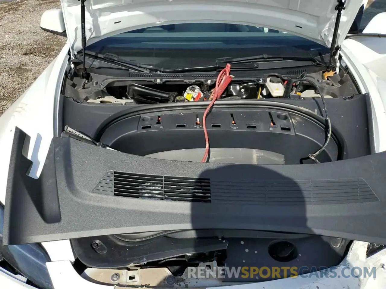 12 fotografías del automóvil dañado 5YJ3E1EA3RF769418 TESLA MODEL 3 2024