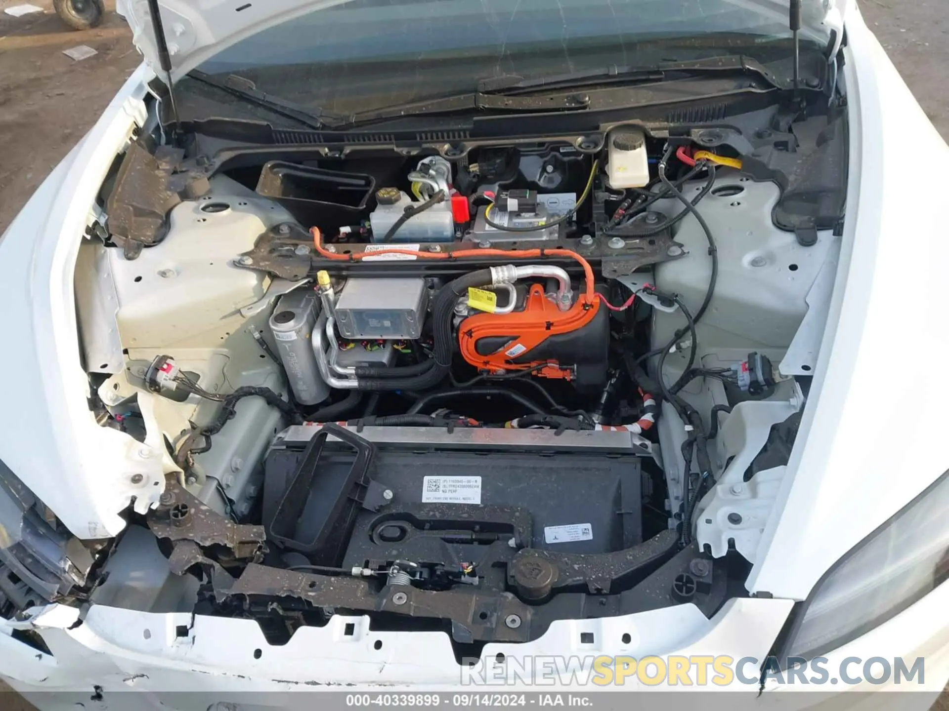 10 fotografías del automóvil dañado 5YJ3E1EA3RF823509 TESLA MODEL 3 2024