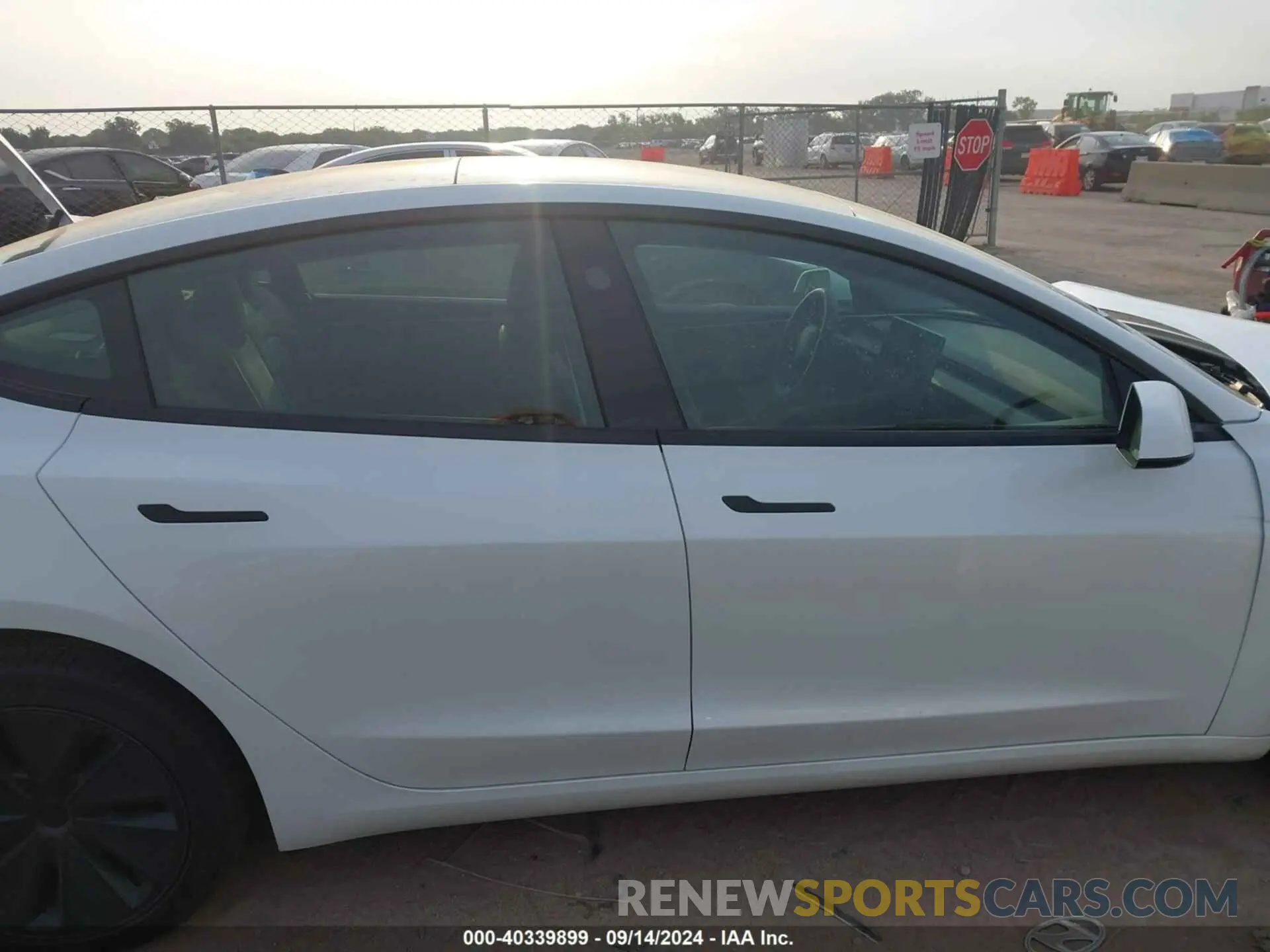 12 fotografías del automóvil dañado 5YJ3E1EA3RF823509 TESLA MODEL 3 2024