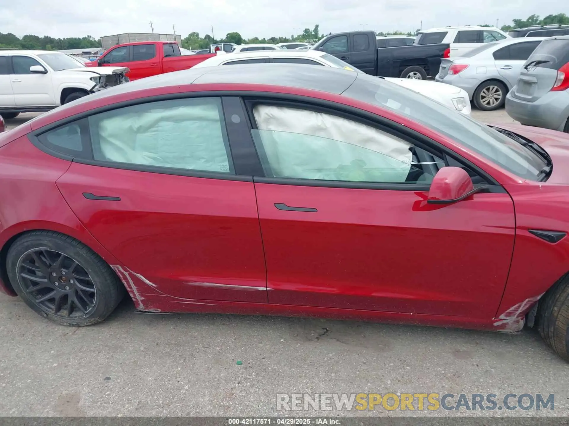 12 fotografías del automóvil dañado 5YJ3E1EA4RF738212 TESLA MODEL 3 2024