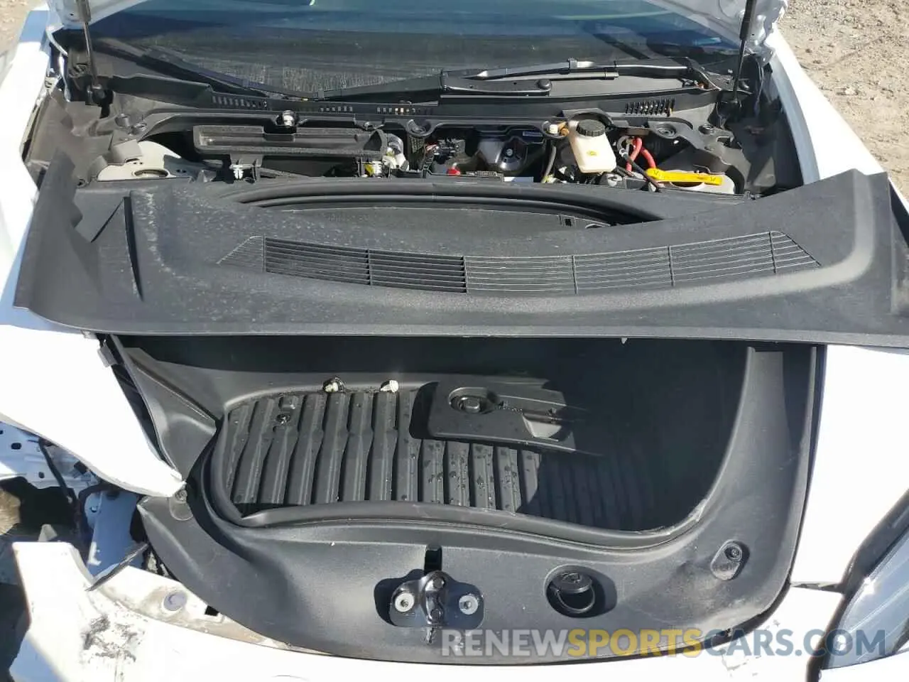 11 fotografías del automóvil dañado 5YJ3E1EA4RF800921 TESLA MODEL 3 2024