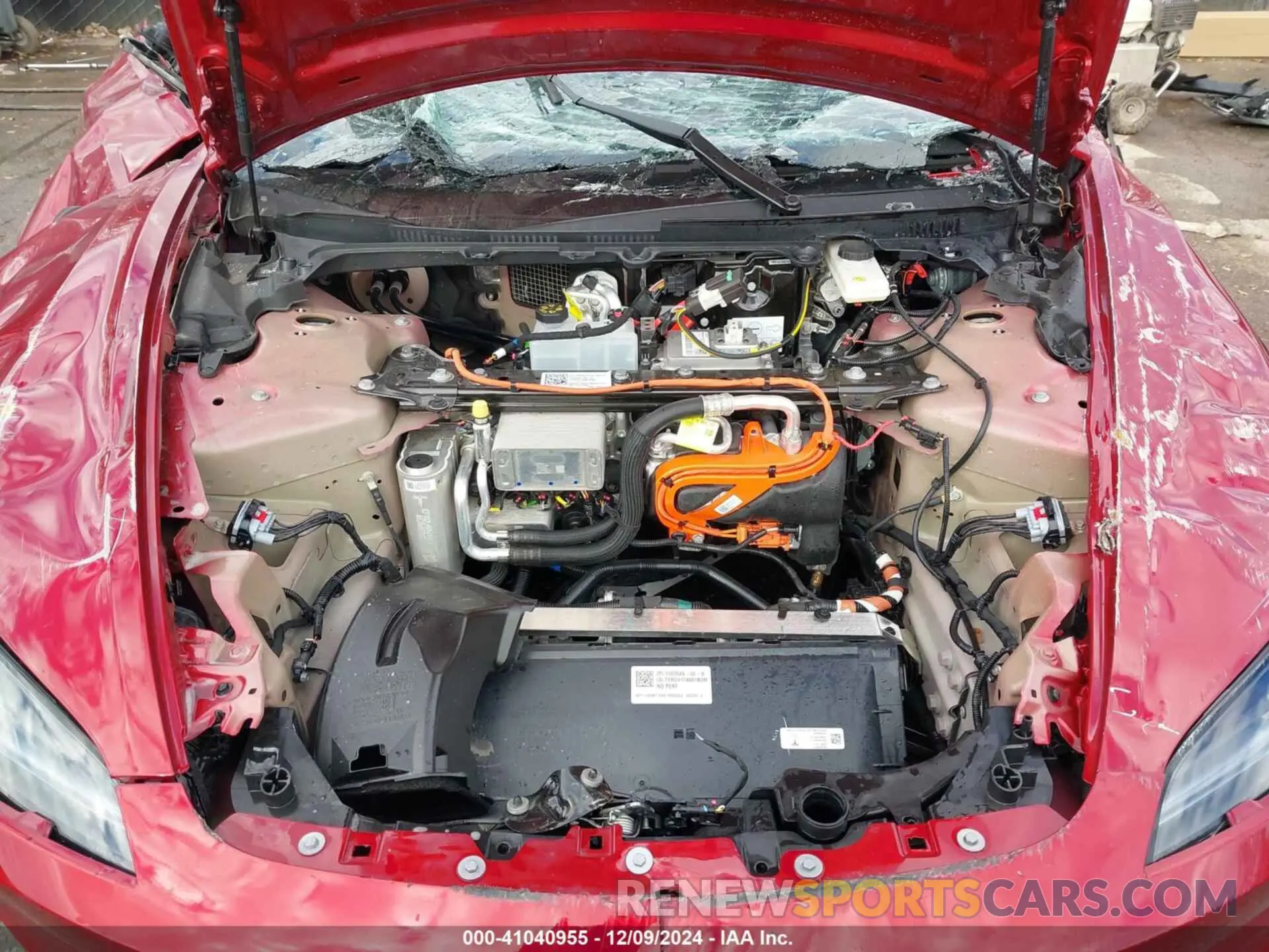 10 fotografías del automóvil dañado 5YJ3E1EA4RF801552 TESLA MODEL 3 2024
