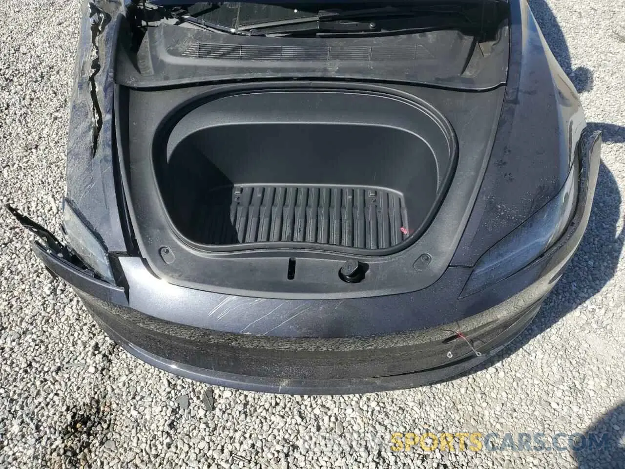 11 fotografías del automóvil dañado 5YJ3E1EA4RF846815 TESLA MODEL 3 2024