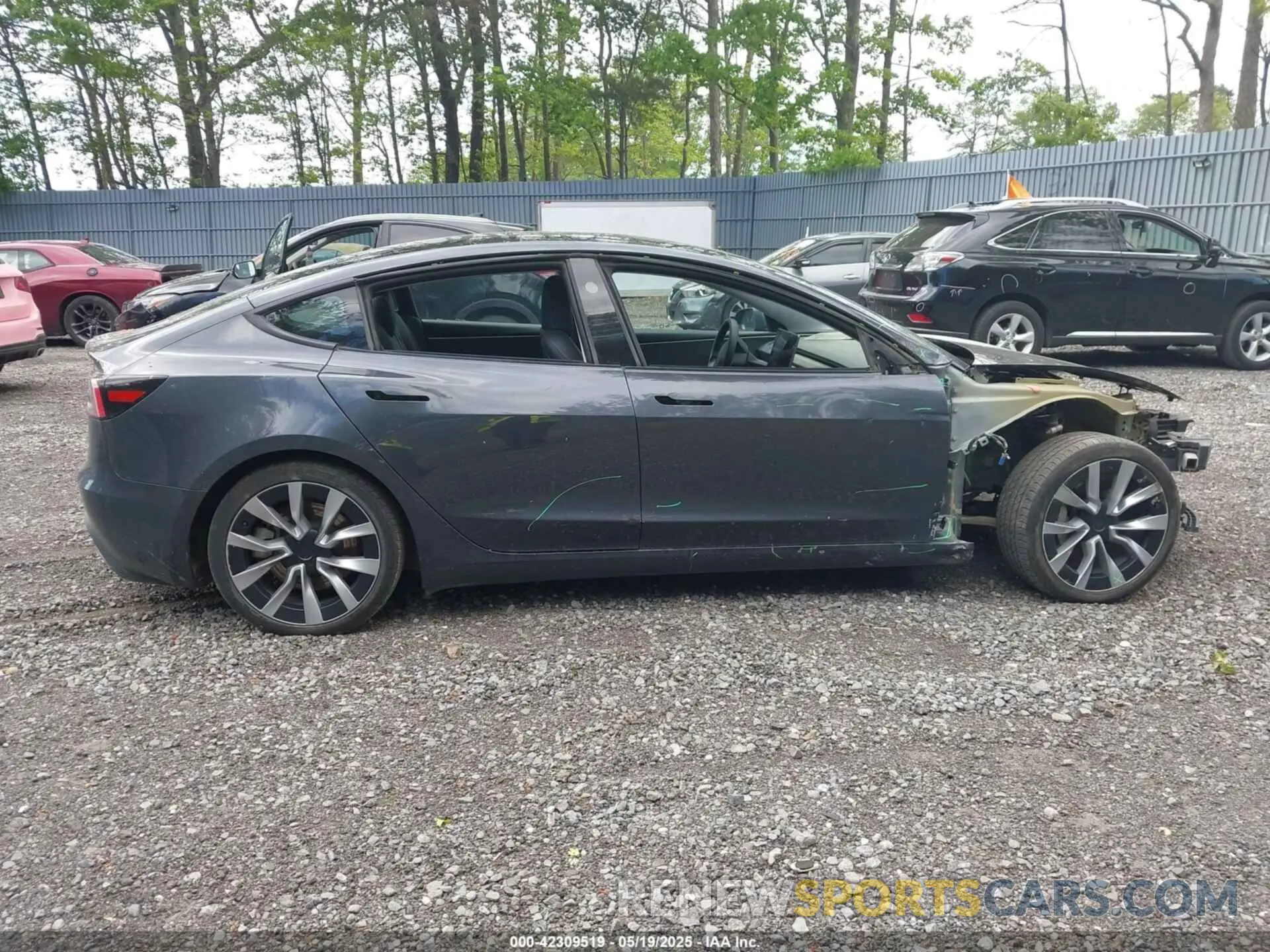 14 fotografías del automóvil dañado 5YJ3E1EA5RF722519 TESLA MODEL 3 2024