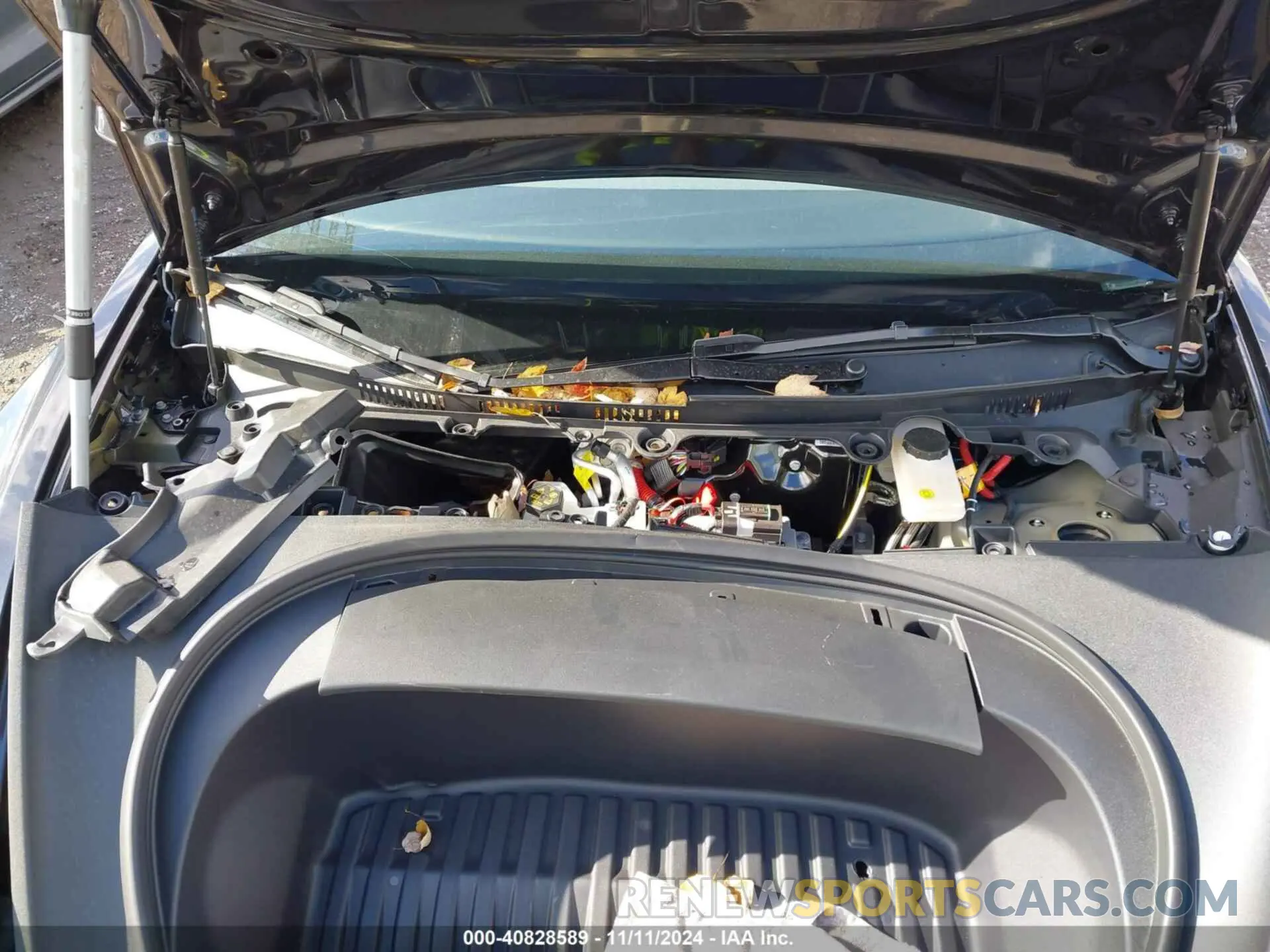 10 fotografías del automóvil dañado 5YJ3E1EA5RF735545 TESLA MODEL 3 2024