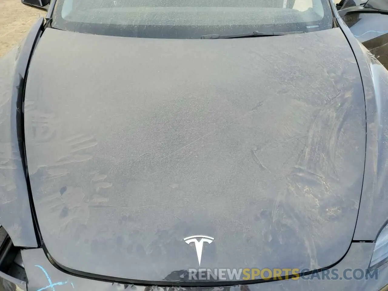 13 fotografías del automóvil dañado 5YJ3E1EA5RF741944 TESLA MODEL 3 2024