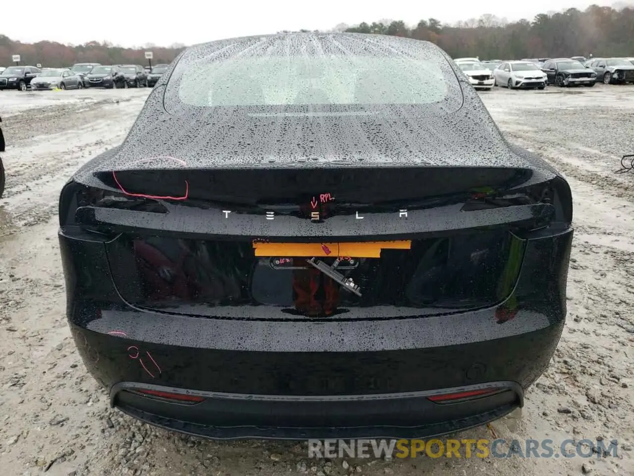 6 fotografías del automóvil dañado 5YJ3E1EA5RF748960 TESLA MODEL 3 2024