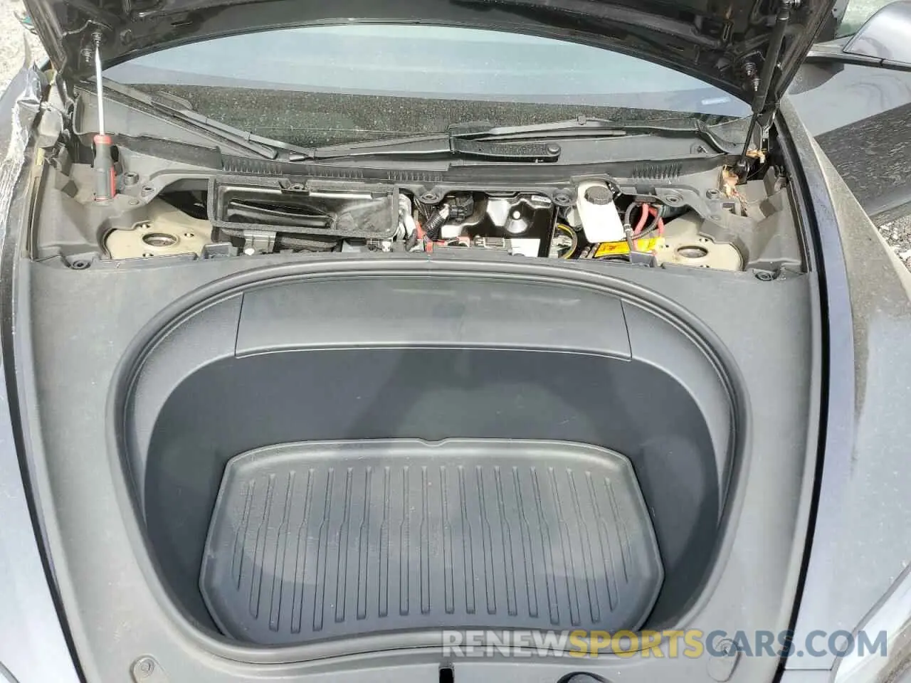 11 fotografías del automóvil dañado 5YJ3E1EA5RF771297 TESLA MODEL 3 2024