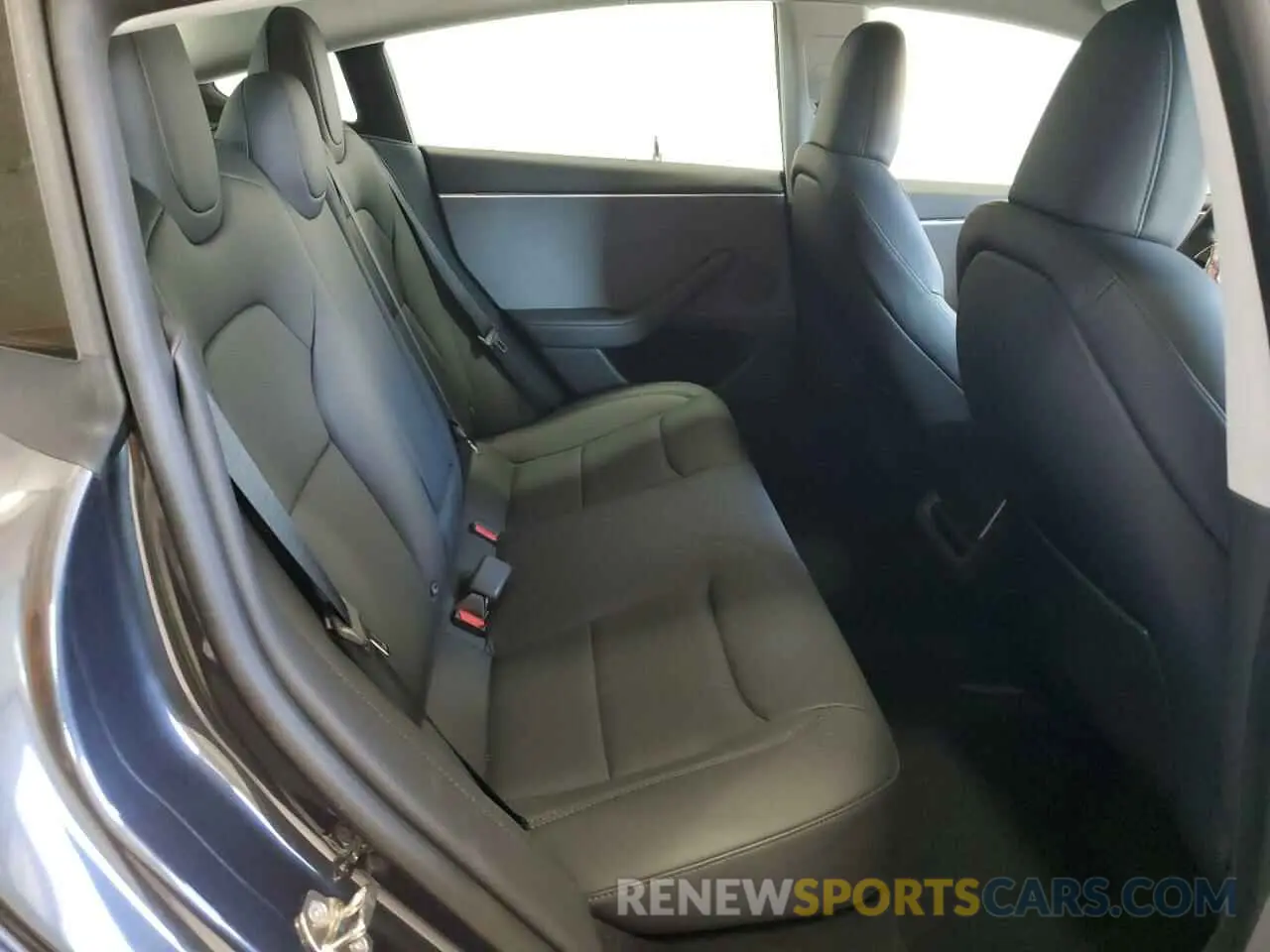 11 fotografías del automóvil dañado 5YJ3E1EA5RF843020 TESLA MODEL 3 2024