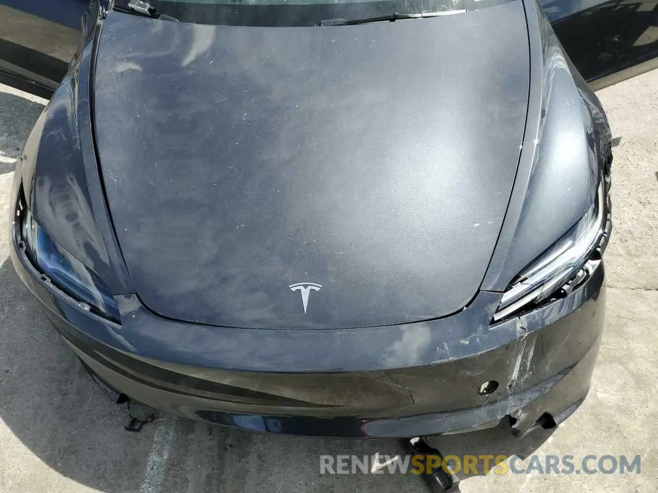 13 fotografías del automóvil dañado 5YJ3E1EA5RF844488 TESLA MODEL 3 2024