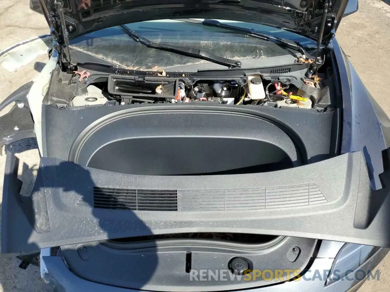 11 fotografías del automóvil dañado 5YJ3E1EA5RF871819 TESLA MODEL 3 2024