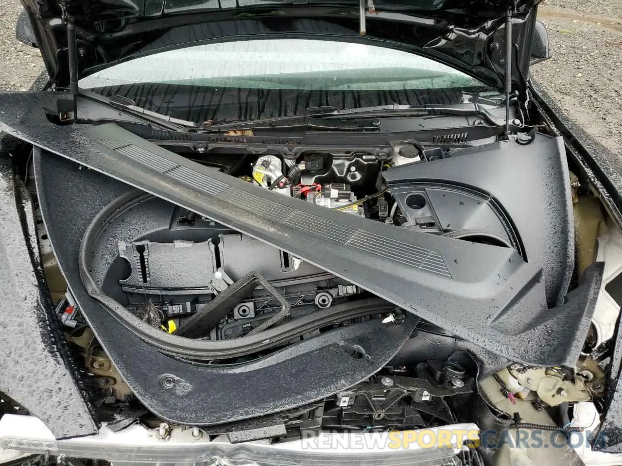 11 fotografías del automóvil dañado 5YJ3E1EA6RF726241 TESLA MODEL 3 2024