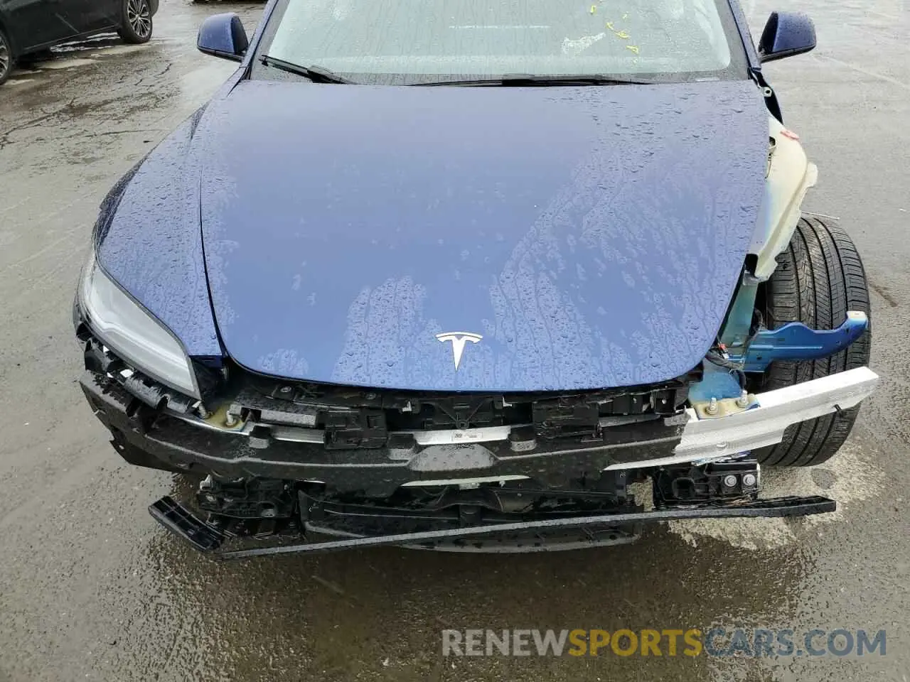 11 fotografías del automóvil dañado 5YJ3E1EA6RF739880 TESLA MODEL 3 2024