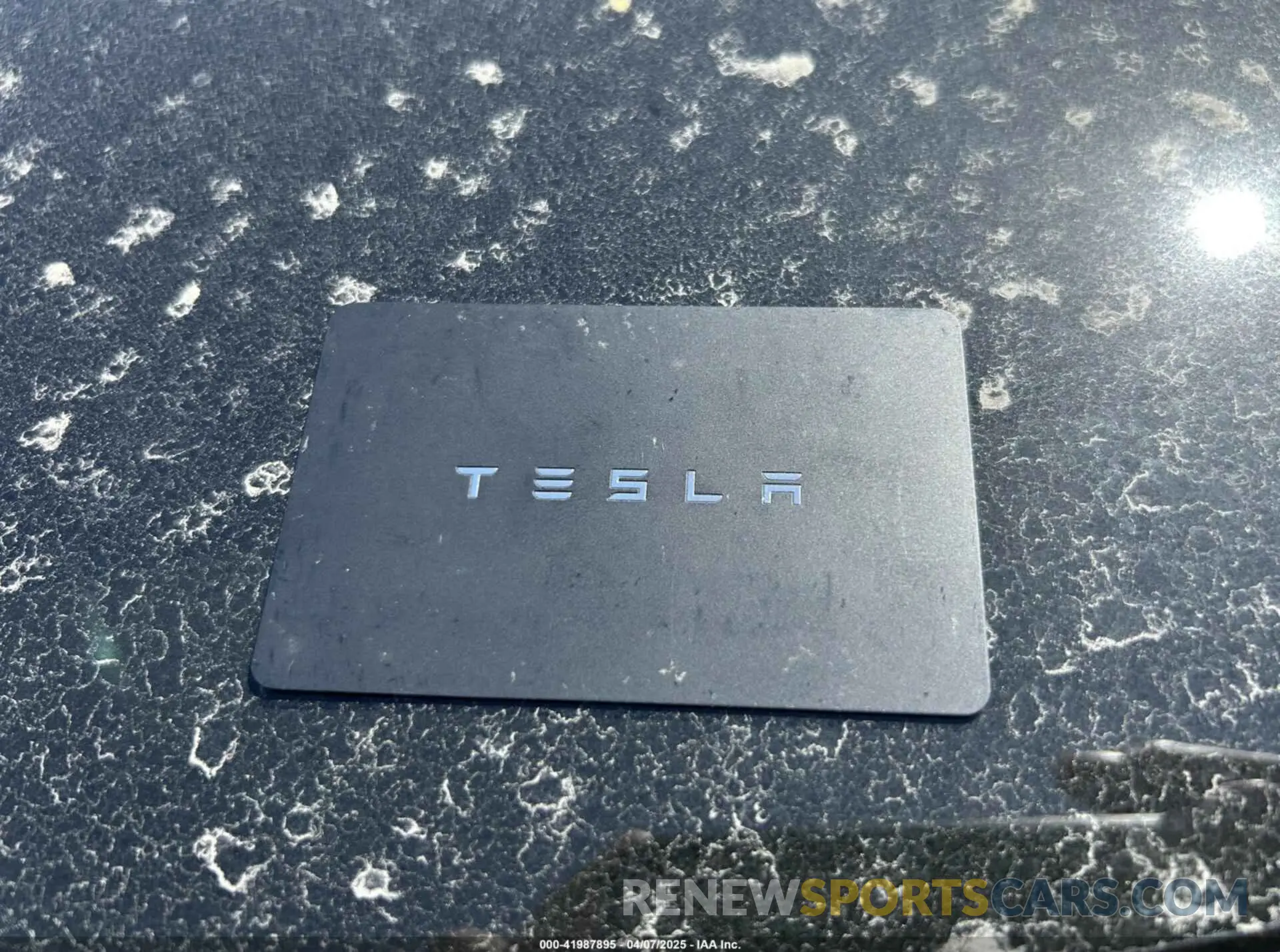 11 fotografías del automóvil dañado 5YJ3E1EA6RF742780 TESLA MODEL 3 2024