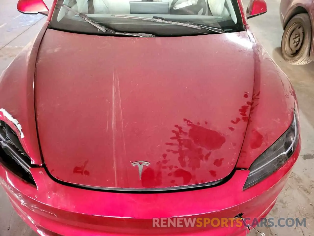 12 fotografías del automóvil dañado 5YJ3E1EA6RF855614 TESLA MODEL 3 2024