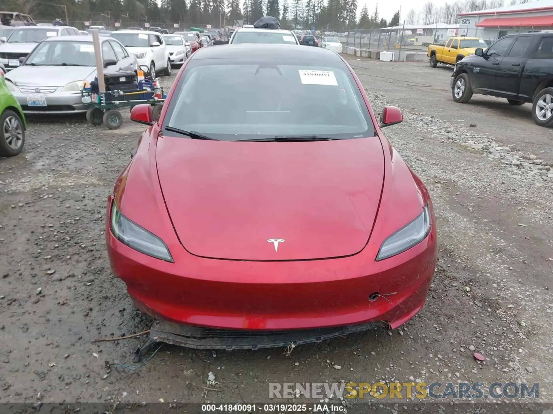 12 fotografías del automóvil dañado 5YJ3E1EA7RF785461 TESLA MODEL 3 2024