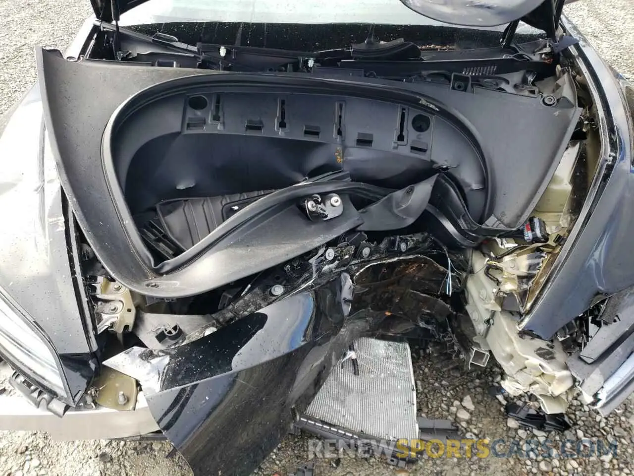 11 fotografías del automóvil dañado 5YJ3E1EA8RF726757 TESLA MODEL 3 2024