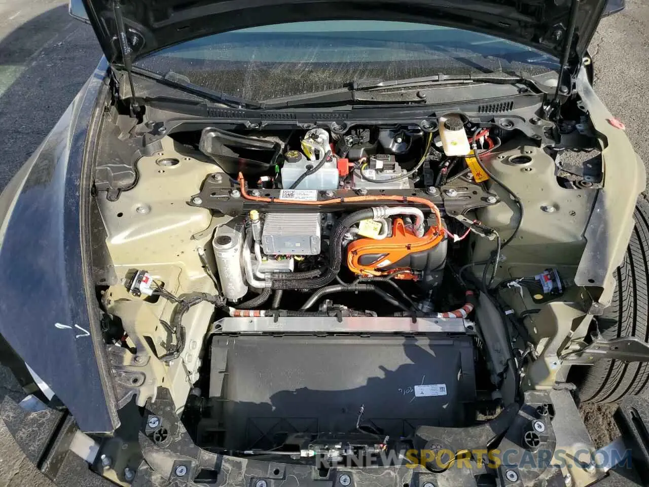 11 fotografías del automóvil dañado 5YJ3E1EA8RF744353 TESLA MODEL 3 2024