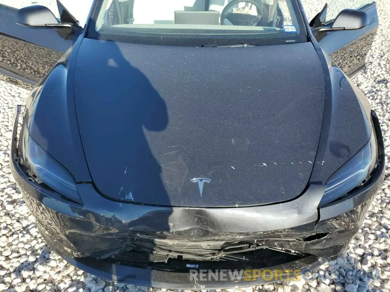 12 fotografías del automóvil dañado 5YJ3E1EA8RF856859 TESLA MODEL 3 2024