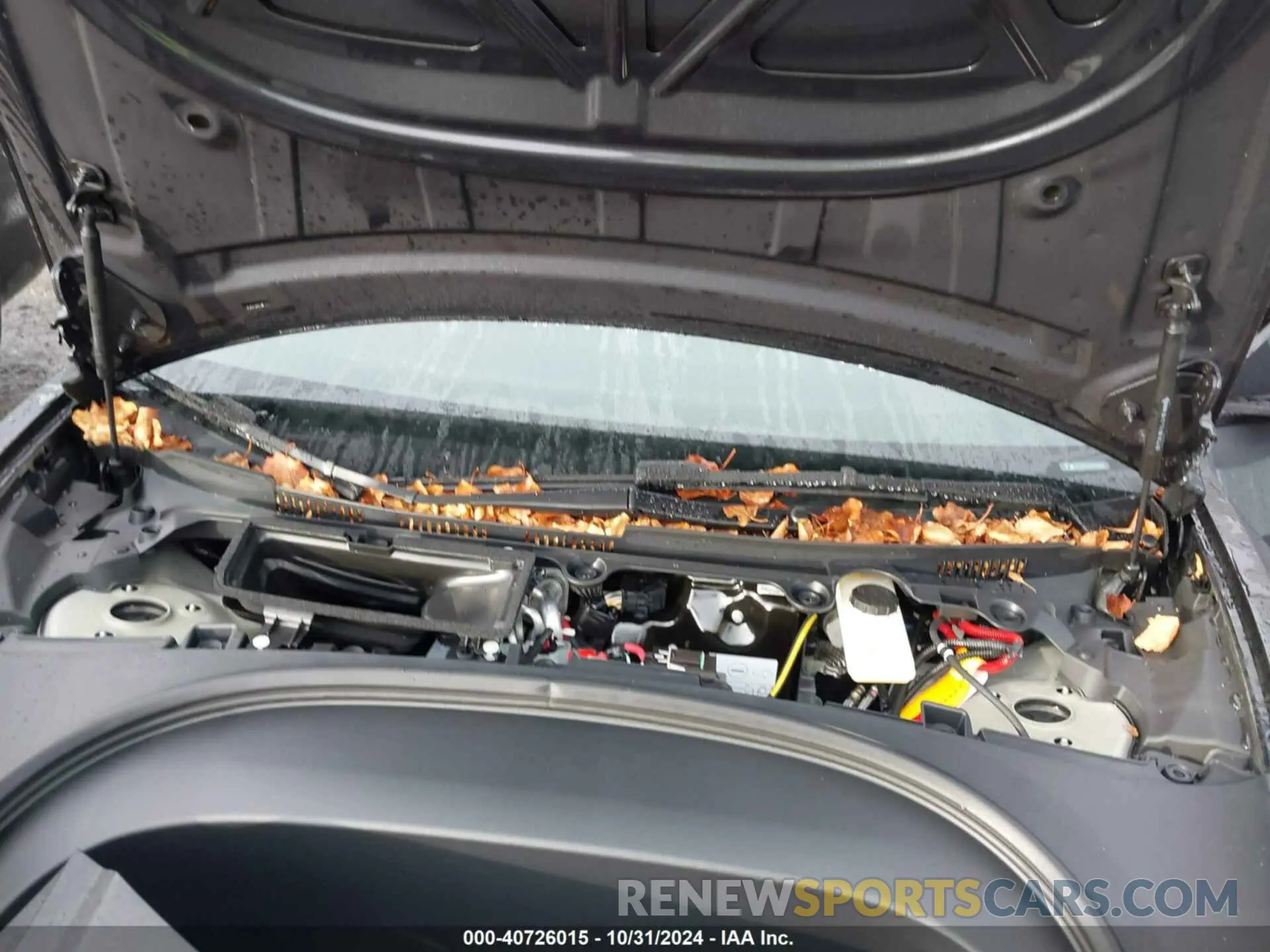 10 fotografías del automóvil dañado 5YJ3E1EA8RF865982 TESLA MODEL 3 2024