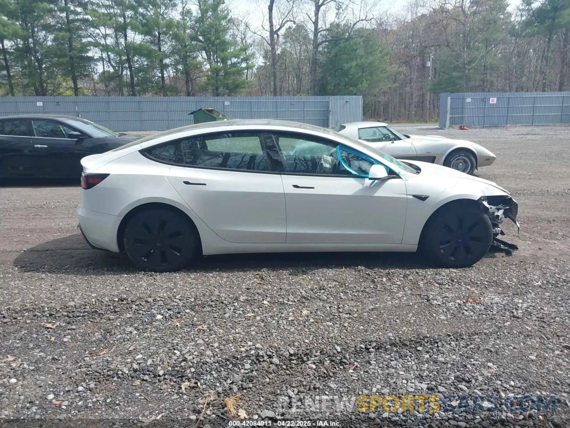 13 fotografías del automóvil dañado 5YJ3E1EA9RF828598 TESLA MODEL 3 2024